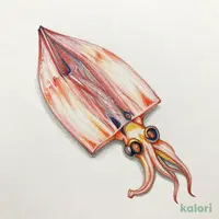 ライフプレミアムおいしさ極めた一夜干しやわらか焼いか60g