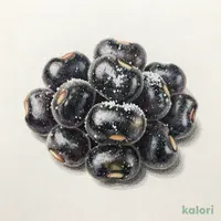 ライフプレミアム北海道産黒豆の甘納豆１２３ｇ