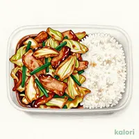 回鍋肉弁当
