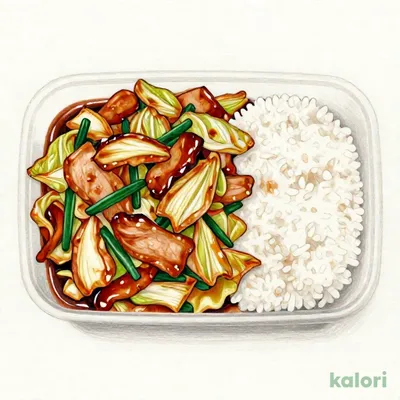 回鍋肉弁当
