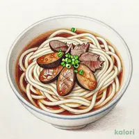 肉ごぼううどん (並)
