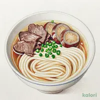 肉ごぼううどん (大)