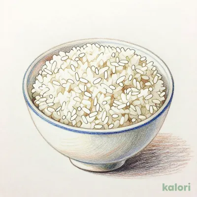 白ごはん