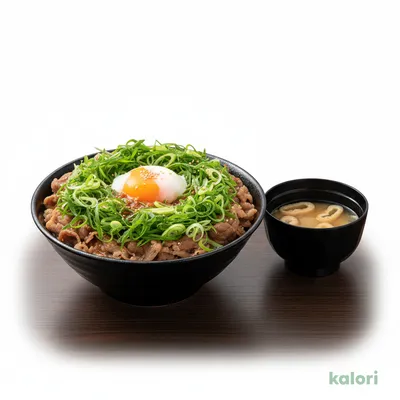 ネギたっぷり旨辛ネギたま牛めし (特盛)