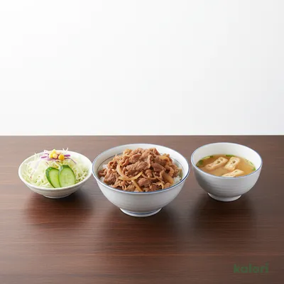 Beef Rice Lunch Set (Small)