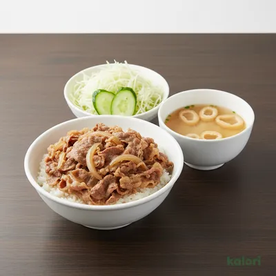Beef Rice Lunch Set (Regular)