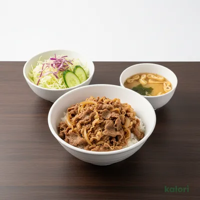 Beef Rice Lunch Set (Extra Large)