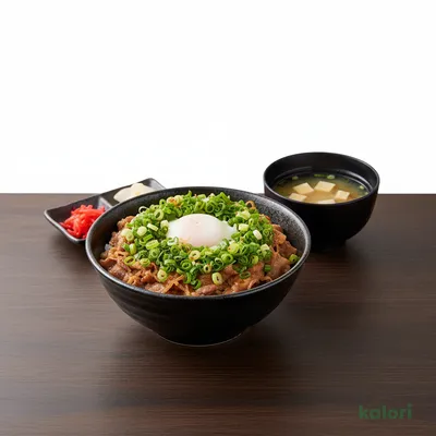 Green Onion Loaded Spicy Beef Rice Lunch Set (Regular)