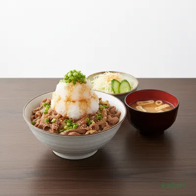 Grated Daikon Ponzu Beef Rice Lunch Set (Large)