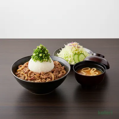 Grated Daikon Ponzu Beef Rice Lunch Set (Large)