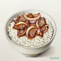 Gyumeshi (Large with Extra)