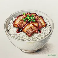 Chashu Rice Bowl