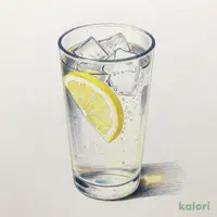酎ハイ（レギュラー）