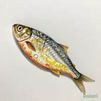 きびなごの唐揚げ