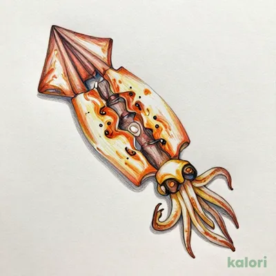 イカの一夜干し