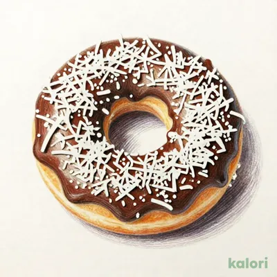 Coconut Chocolate Donut