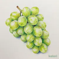 長野県産 宮尾農園のぶどう「シャインマスカット」2房約1.2kg