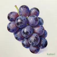 【９月上旬～１０月上旬】長野県産 小布施屋のぶどう ナガノパープル 約１ｋｇ