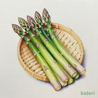 新潟県産飯塚農園の「アスパラガス」約1kg