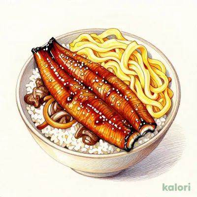 Beef Sukiyaki and Eel Rice Bowl, Extra Large