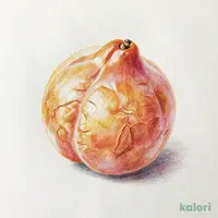 紀州南高梅