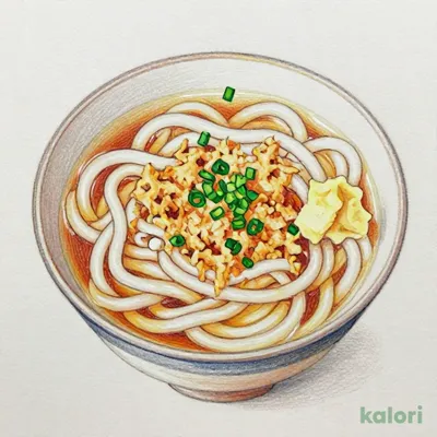 Chilled Haikara Udon (Noodle Soup), Large