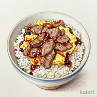 Beef and Egg Toji Bowl, Regular