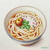紀州南高梅おろしうどん (大盛)