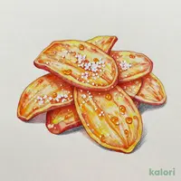 Sweet Potato Chips