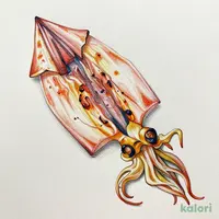 あたりめ
