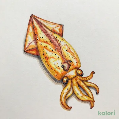 いかの姿フライ