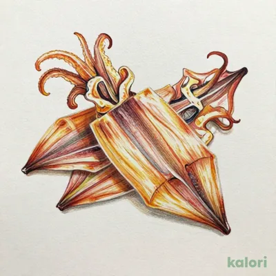 Smoked Squid Strips (Value Pack)