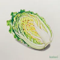 キャベツ