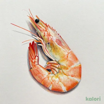 海老