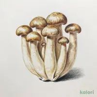 ぶなしめじ