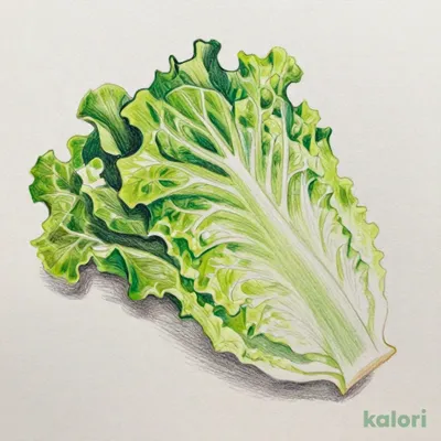 レタス