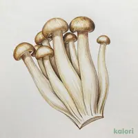 味えのき