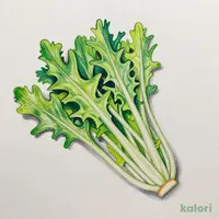 水菜
