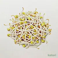 緑豆もやし