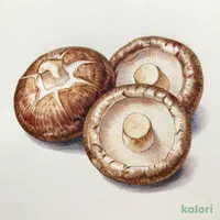 肉厚椎茸