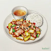 塩麹豚と白菜漬けの豚しんこ（ご飯）