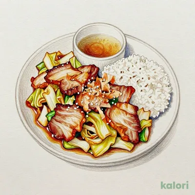 塩麹豚と白菜漬けの豚しんこ（五穀ご飯）