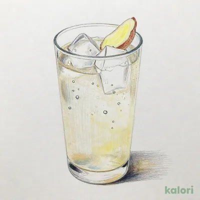 クラフトジン「六」 ジンジャー割り