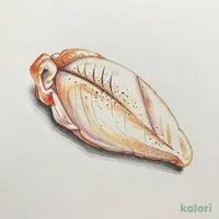 糖質ゼロ 九州産鶏肉使用サラダチキン プレーン