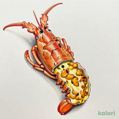 ライブロブスター（ウニソース）（ミディアム）