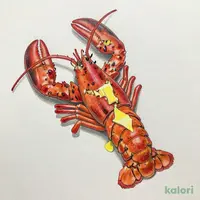 ライブロブスター（オーブン）（ミディアム）