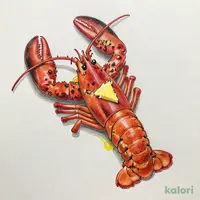 ライブロブスター(オーブン)(レギュラー)