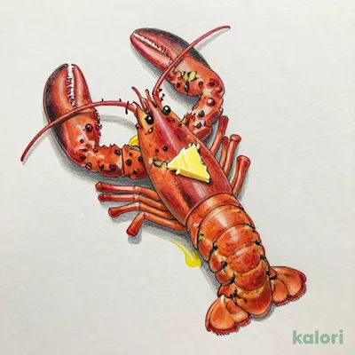 ライブロブスター（オーブン）（レギュラー）