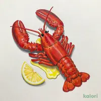 ライブロブスター（スチーム）（ミディアム）