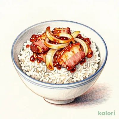 Pork Rice Bowl (Regular)